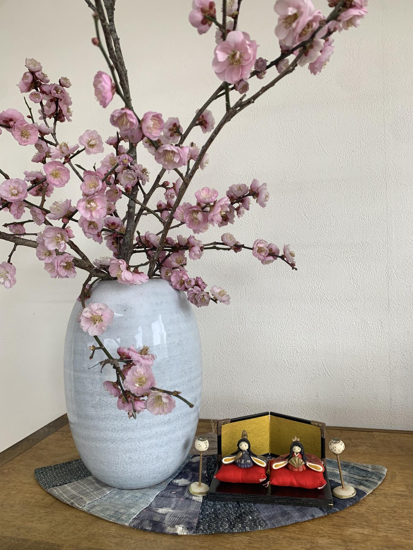 3月になりました🎎