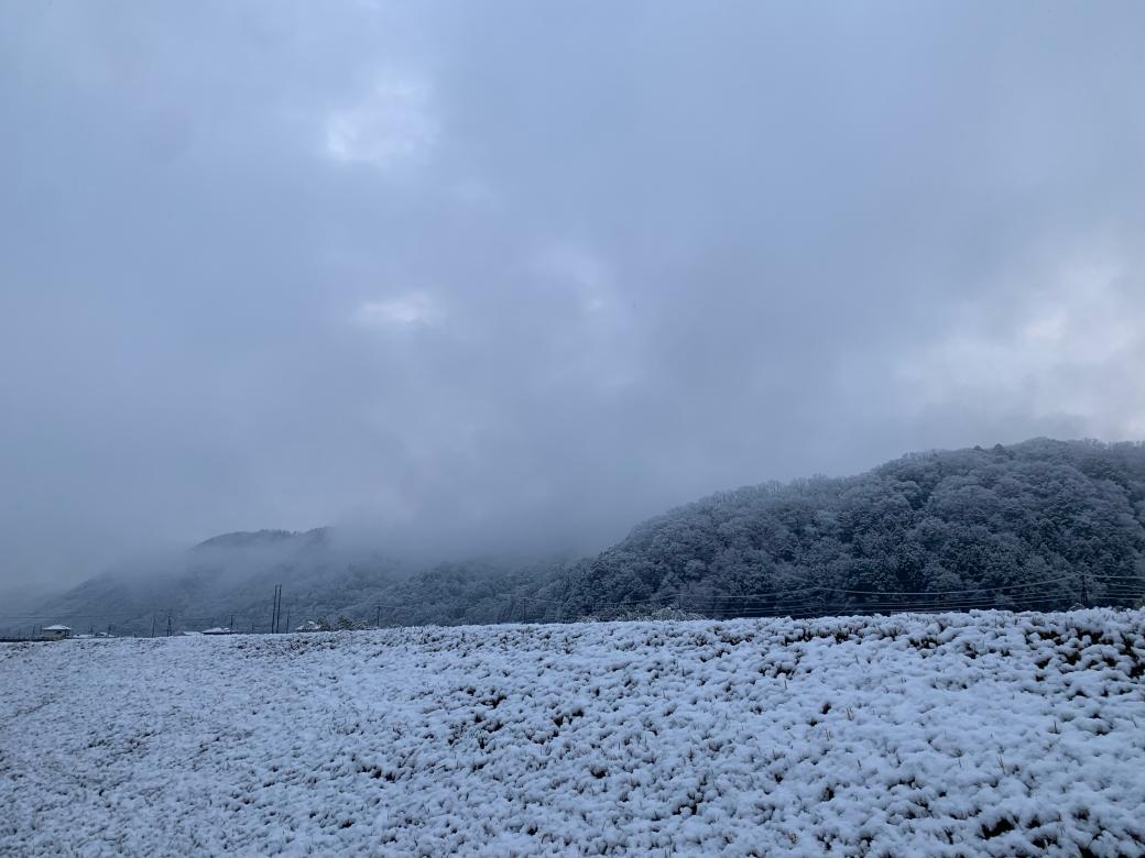 3月の雪⛄