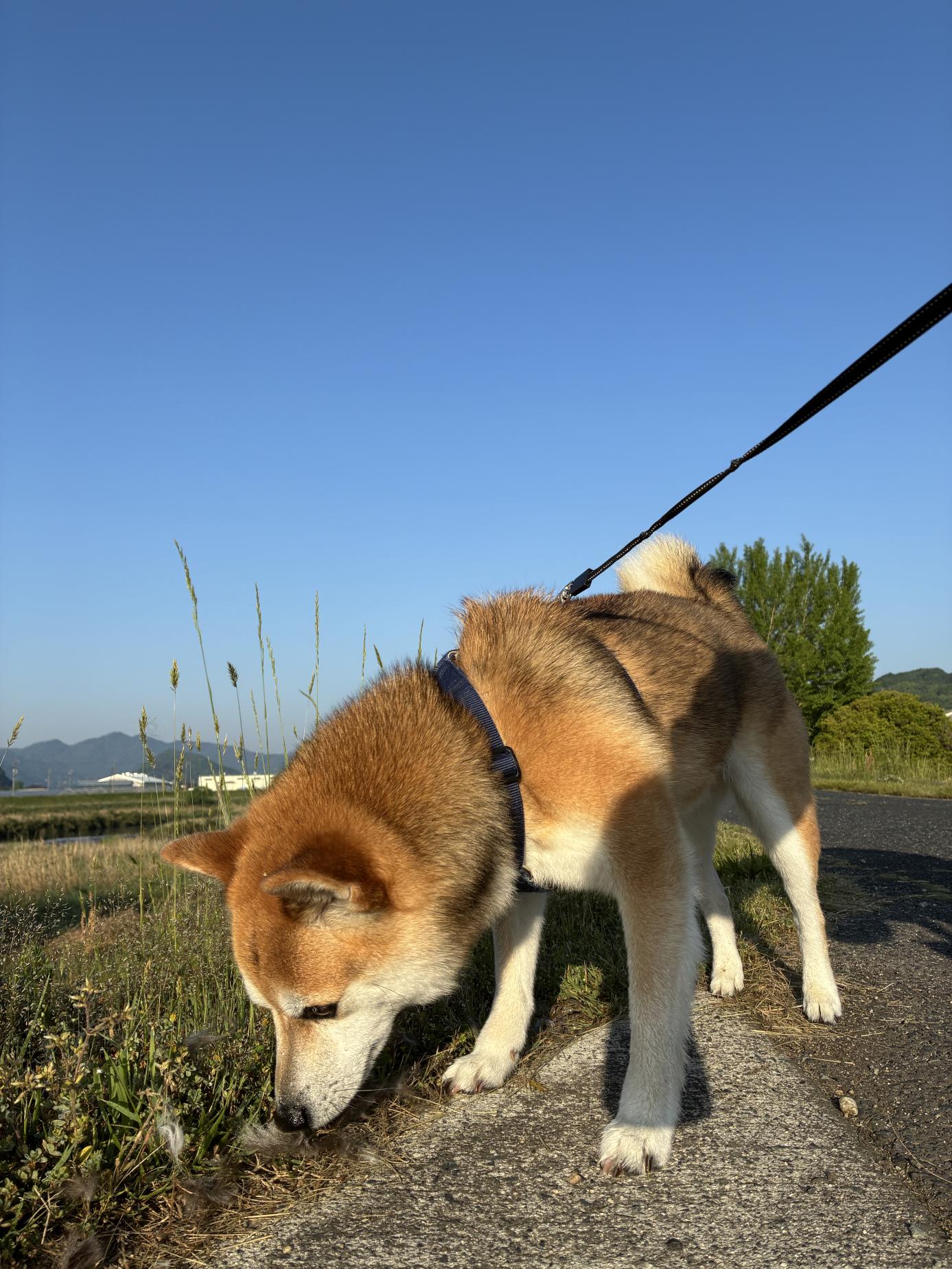 空白期間